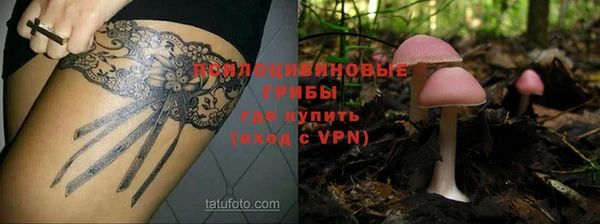 сатива Володарск