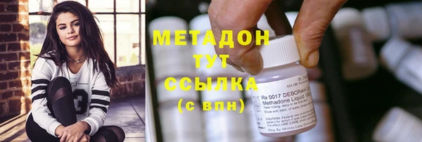 прущие грибы Волосово