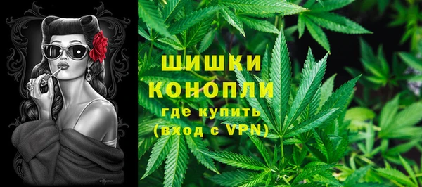 сатива Володарск
