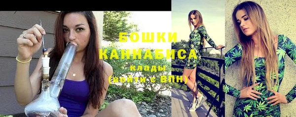 сатива Володарск