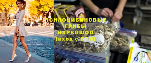 прущие грибы Волосово