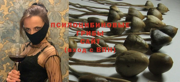 бошки Волоколамск