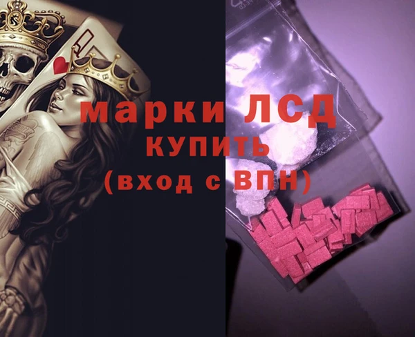 прущие грибы Волосово