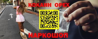гашик Кандалакша