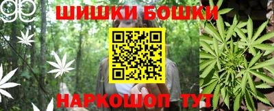 гашик Кандалакша