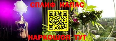гашик Кандалакша