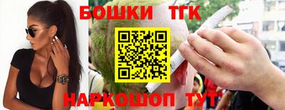 гашик Кандалакша
