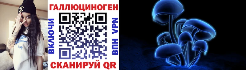 Галлюциногенные грибы GOLDEN TEACHER  ОМГ ОМГ ТОР  маркетплейс официальный сайт  Славянск-на-Кубани 