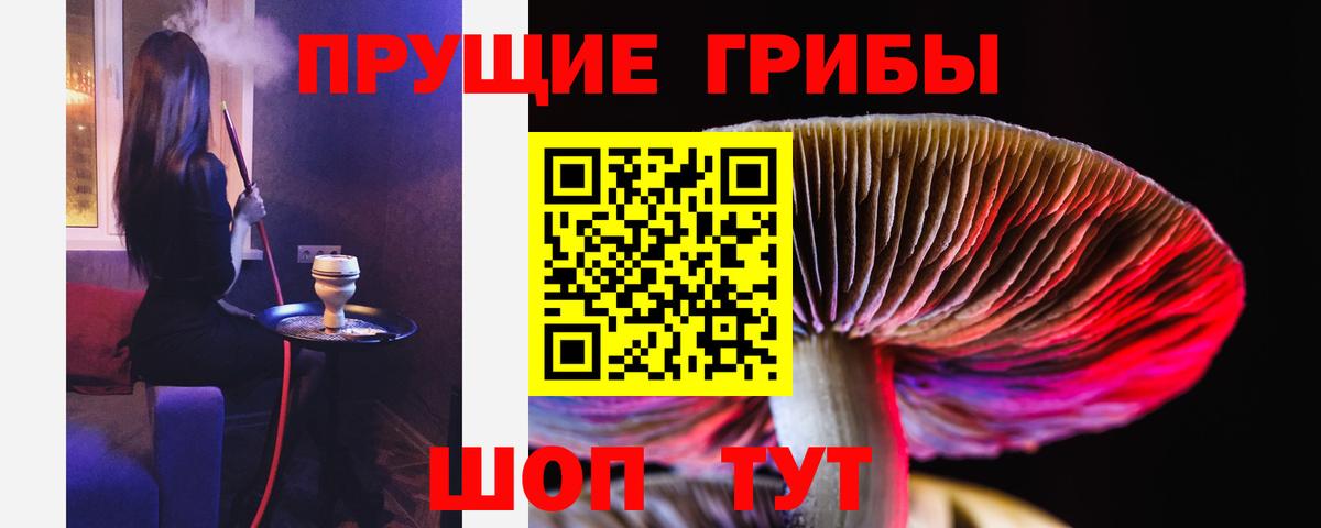 Галлюциногенные грибы MAGIC MUSHROOMS  Галлюциногенные грибы прущие грибы  купить   Вход с VPN  Славянск-на-Кубани 
